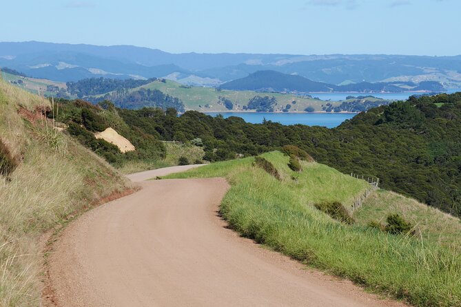 Full Day Private Waiheke Island Wine Tour Including Lunch