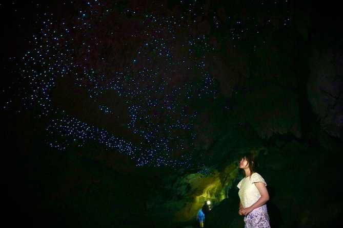 Full-Day Small-Group Glowworm Exploration Tour in New Zealand