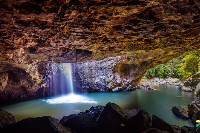 Full-Day Springbrook National Park Tour From the Gold Coast - Tour Overview and Highlights