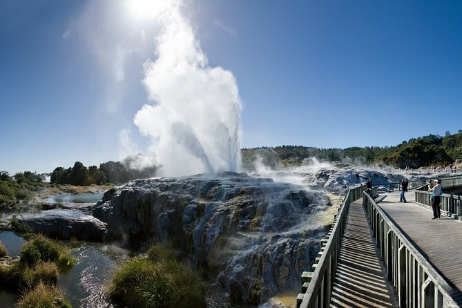 Full-Day Te Puia Geothermal Valley Experience From Auckland - Itinerary Overview