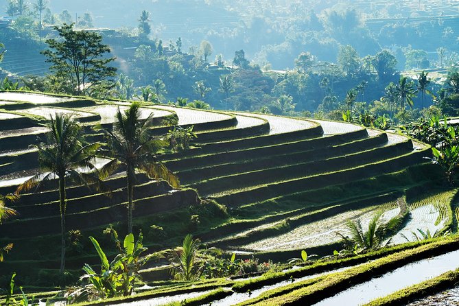 Full-Day Tour to Water Temples and UNESCO Rice Terraces in Bali - Tour Pricing and Booking Details