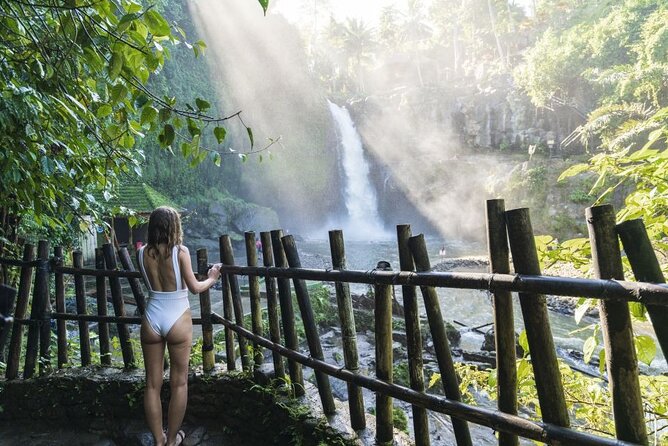 Full-Day Tour Ubud Best Things to Do in Ubud - Tour Itinerary