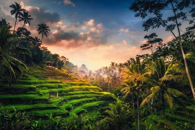 Full-Day Ubud Private Tour - Itinerary Highlights