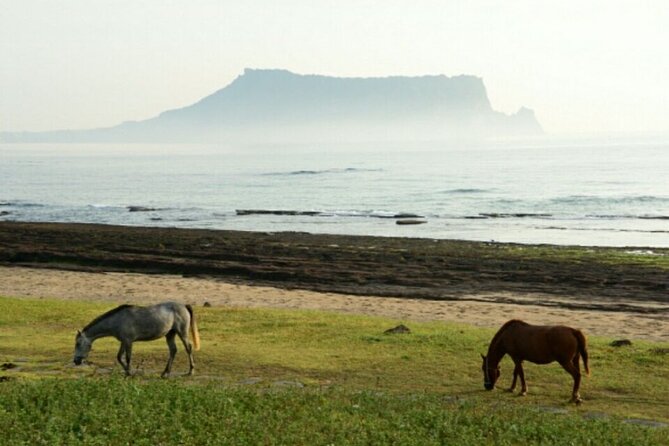 Full-Day Visiting Jeju Island Private Tour With Lunch in Jeju