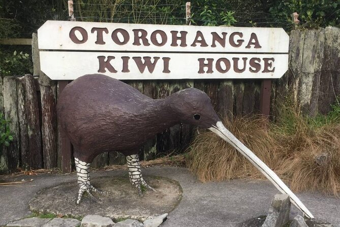 Full Day Waitomo Glow Worm Cave and Kiwi House Tour