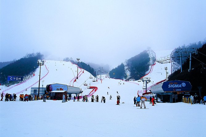 Gangchon Elysian Ski Day Trip From Seoul - Trip Inclusions and Highlights