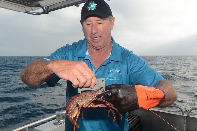 Geraldton Lobster Pot Pull - Participant Requirements