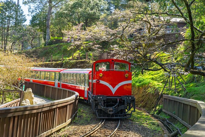 Giant Tree Trail & Alishan Forest Railway Full Day Tour - Itinerary Details