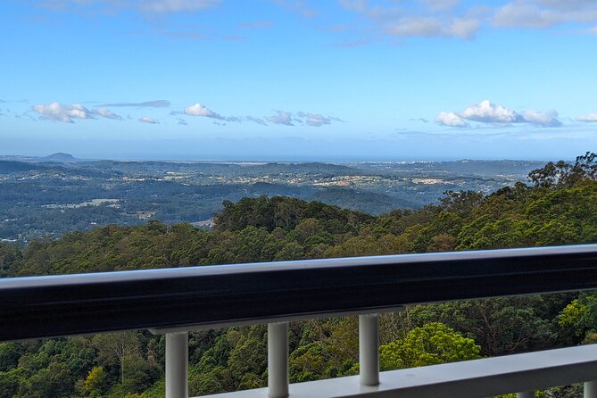 Glass House Mountains, Maleny and Montville Tour From Brisbane - Pickup Information