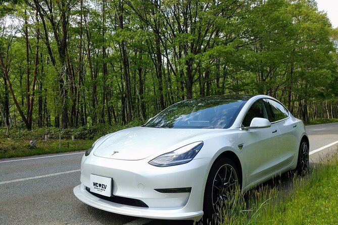 Go Anywhere With a Tesla Rental Car (Free Plan)