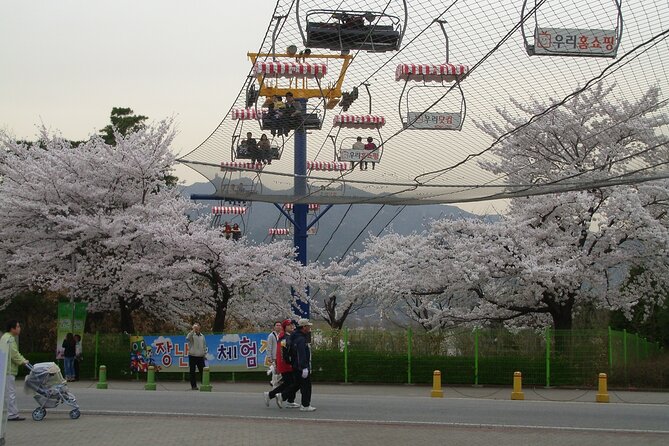 Go City: Seoul Explorer Pass - Choose 3, 4, 5, 6 or 7 Attractions - Attractions Included in the Pass