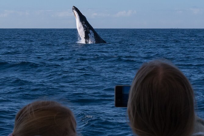 Gold Coast Whale Watching Cruise - Booking Details
