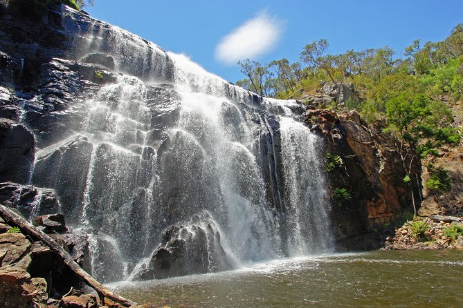 Grampians National Park Small-Group Eco Tour From Melbourne - Tour Highlights