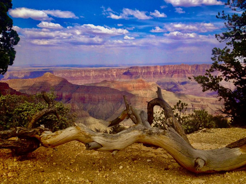 Grand Canyon: North Rim Private Group Tour From Las Vegas - Cancellation Policy Details