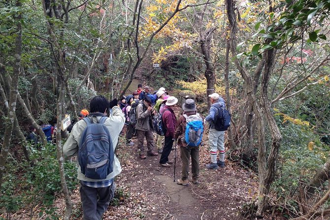 Granite Obelisk in Yakushima Full-Day Trekking Tour - Trekking Itinerary