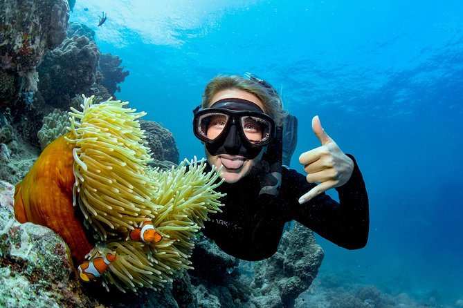 Great Barrier Reef Diving and Snorkeling Cruise From Cairns - Booking Details