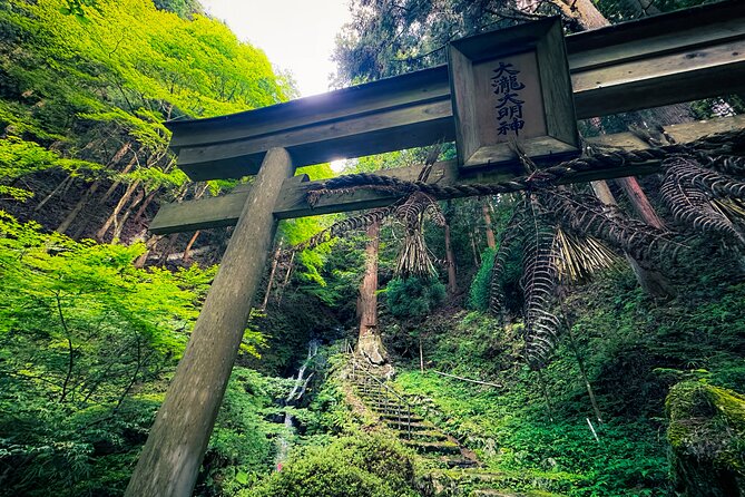 Green Tea Fields, Serene Beautiful Nature of Kyoto: Private Tour