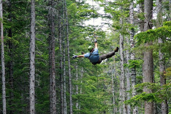 Grizzly Falls Ziplining Expedition - Booking Information