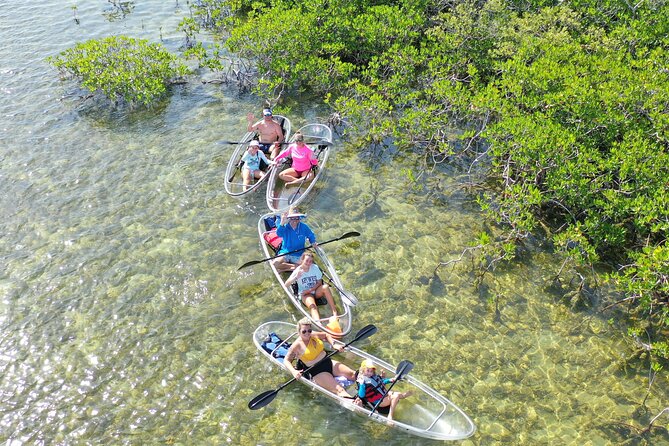 Guided Clear Kayak Eco-Tour Near Key West