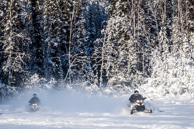 Guided Fairbanks Snowmobile Tour - Tour Overview
