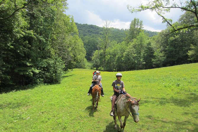 Guided Horseback Ride Through Flame Azalea and Fern Forest - Customer Experience