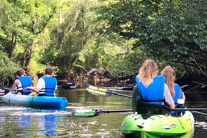 Guided Kayak Eco Tour: Real Florida Adventure - Tour Highlights