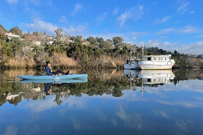 Guided Kayak Tour on Launcestons Scenic Waterfront on Foot Powered Hobie Kayaks - Tour Highlights