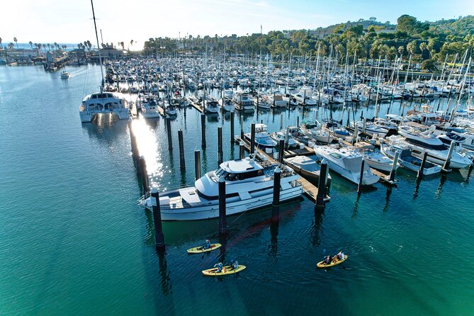 Guided Kayak Wildlife Tour in the Santa Barbara Harbor - Tour Highlights