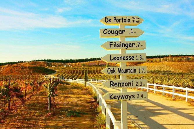 Guided Temecula Wine Tour From San Diego