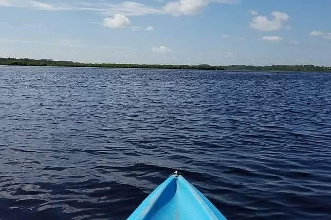 Guided Wildlife Eco Kayak Tour in New Smyrna Beach - Booking Information