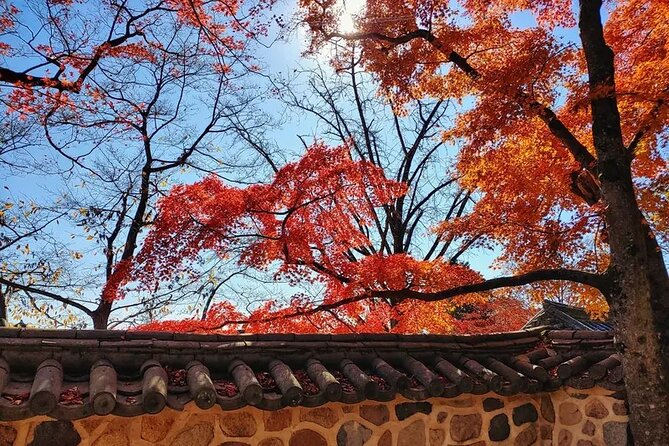 Gyeongju Full-Day Guided Tour From Seoul - Tour Highlights and Itinerary