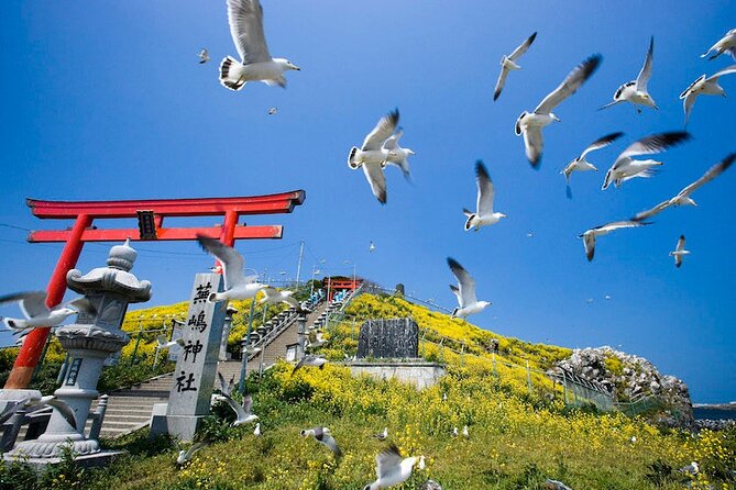 Hachinohe Half-Day Private Trip With Government-Licensed Guide - Cancellation Policy