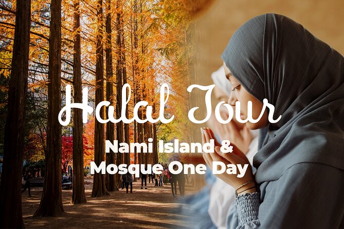 Halal-Nami Island & Central Mosque & Petite France & RailBike
