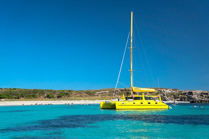 Half-Day Catamaran Tour With Kayaks and More, Carnac Island  – Fremantle