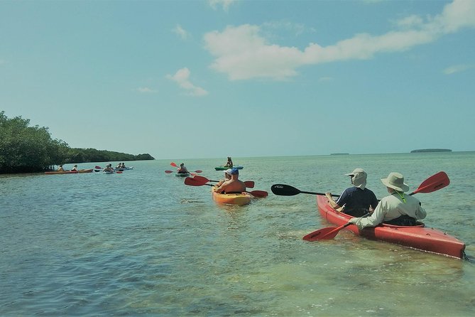 Half-Day Cruise From Key West With Kayaking and Snorkeling