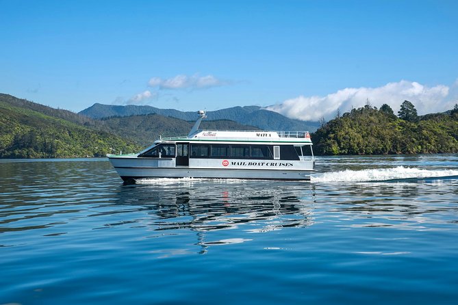 Half-Day Cruise in Marlborough Sounds From Picton