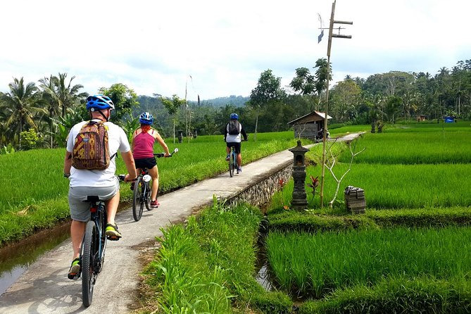 Half-Day Electric Cycling Tour of Ubud - Cancellation Policy