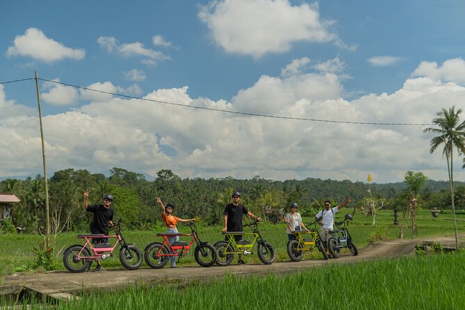 Half-Day Electric Fat Bike Tour of Ubud - Rider Requirements