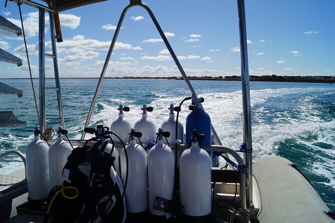 Half-Day Geographe Boat Dive Experience  – Busselton