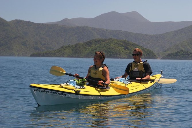 Half-Day Guided Sea Kayaking Tour From Anakiwa