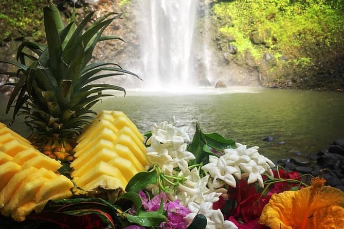Half-Day Kayak and Waterfall Hike Tour in Kauai With Lunch - Tour Description