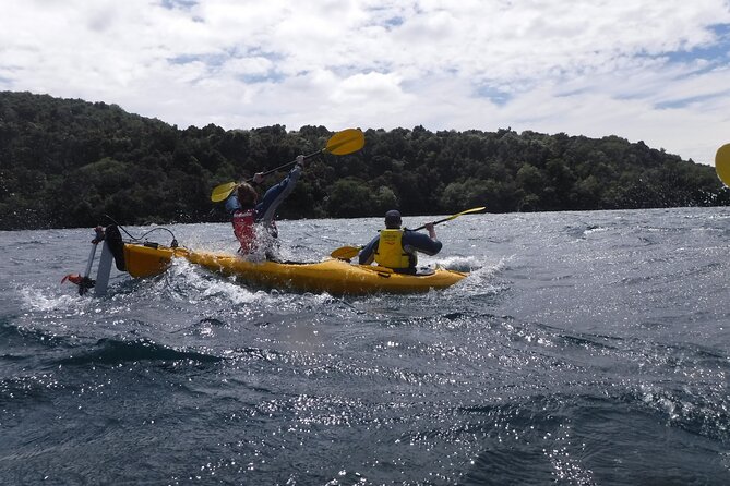Half-Day Kayak to the Maori Rock Carvings in Lake Taupo - Tour Highlights