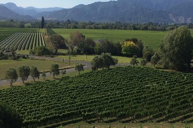 Half-Day Marlborough Gourmet Tasting Tour From Blenheim - Customer Reviews