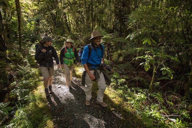 Half-Day Milford Track Guided Hiking Tour - Inclusions