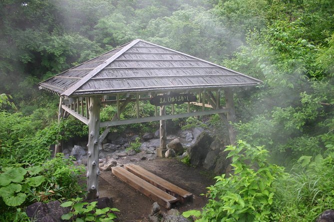Half-Day Private Guided Japanese Hot Spring Experience