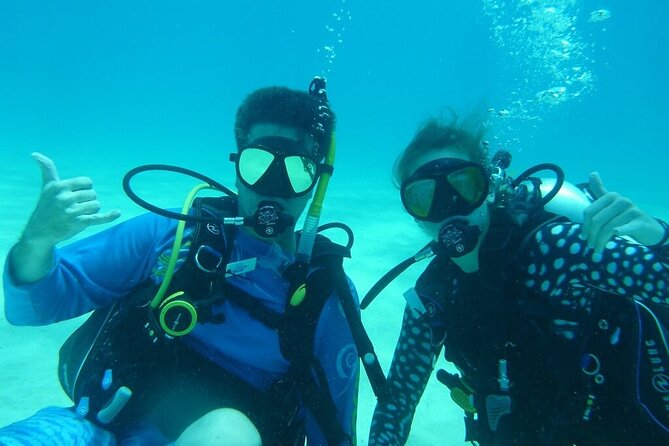 Half Day Scuba Diving Trip in the Florida Keys - Dive Among Florida Keys Marine Life