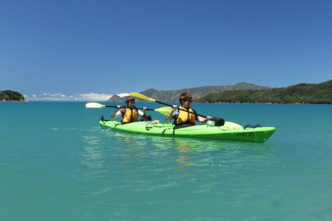 Half Day Sea Kayak Guided Tour From Picton