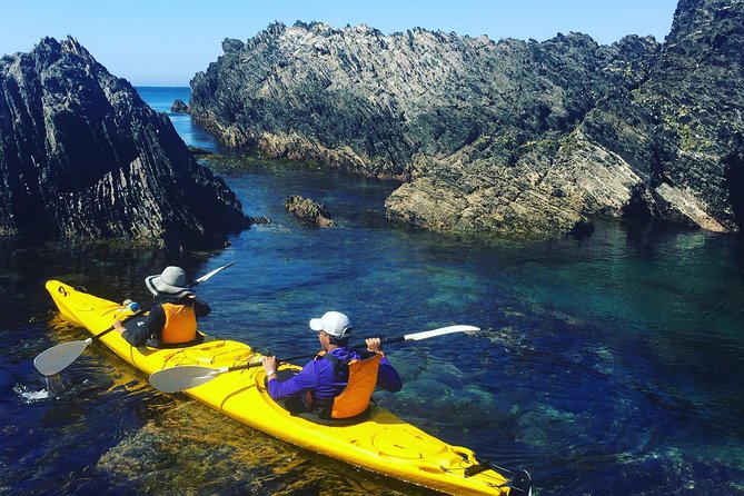 Half Day Sea Kayak Tour From Batemans Bay With Morning Tea and Snorkeling - Tour Highlights