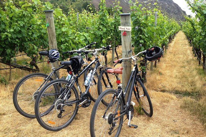 Half-Day Self-Guided Ride and Wine Bike Tour From Arrowtown