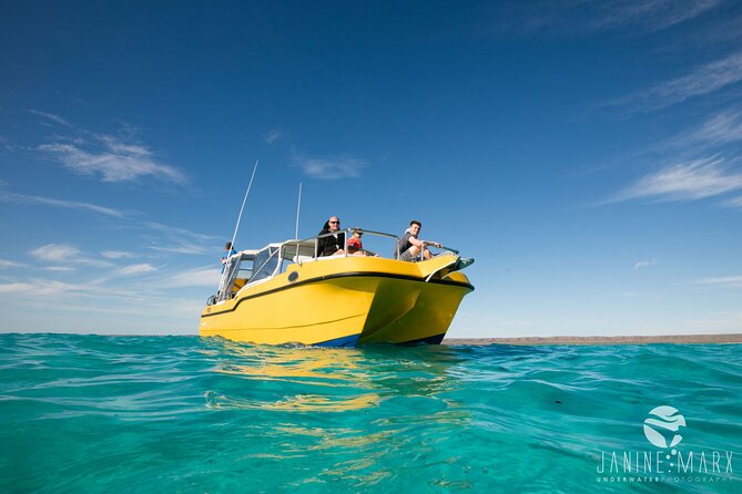 Half Day Snorkel 2.5hr Turtle Tour on the Ningaloo Reef, Exmouth